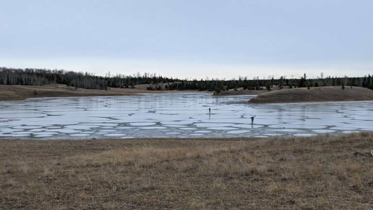 Shallow soda lakes show promise as cradles of life on Earth