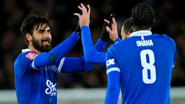 skysports-andre-gomes-everton_6425141.jpg