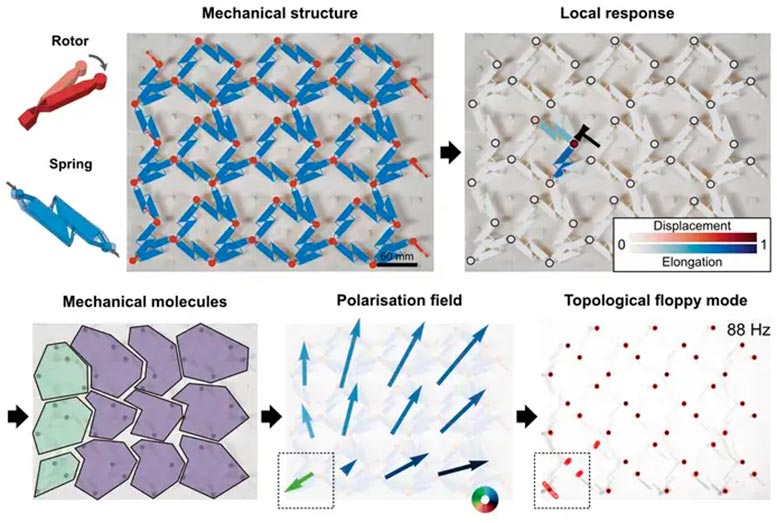 Model-Free Topology