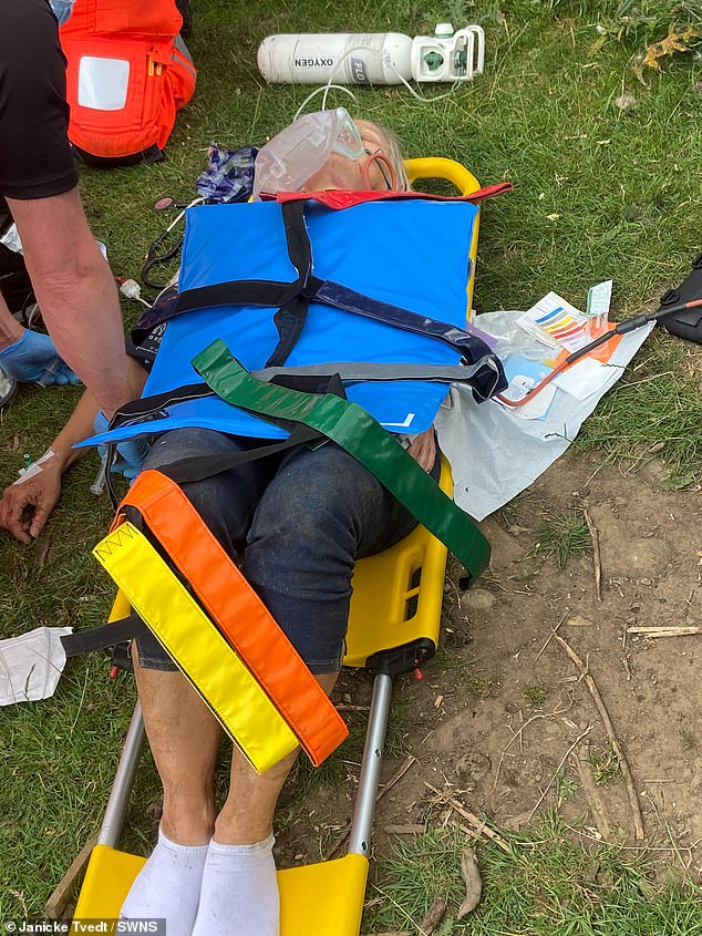 Janicke pictured on a stretcher being helped by emergency crews after she was attacked by a herd of cows