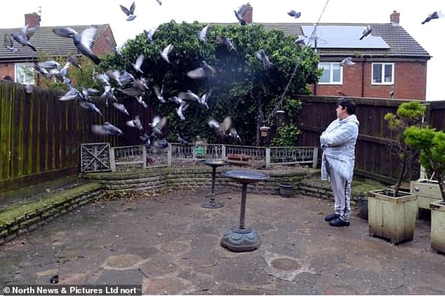 But housing association, Gentoo, said neighbours have complained that seed meant for the birds is attracting vermin, including rats