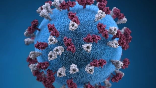 Montreal Public Health reports 2nd measles case this month