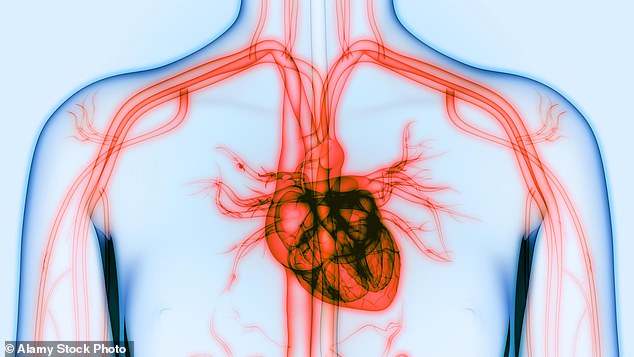 Personality traits such as anxiety and irritability have been linked with early signs of heart ageing, according to a study