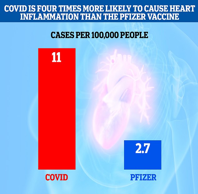 Researchers in Israel spotted 2.7 extra cases of myocarditis per 100,000 people who were injected with the Pfizer vaccine, but this shot up to 11 additional cases for every 100,000 individuals who caught the virus