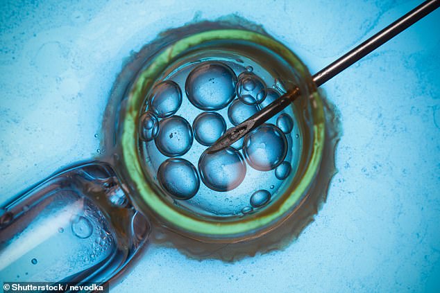 British women could be paying more for fertility treatment (stock image)