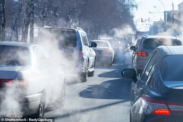 Air pollution increases the risk of dying from breast cancer by 80% and is as dangerous as smoking, obesity and alcohol, research finds