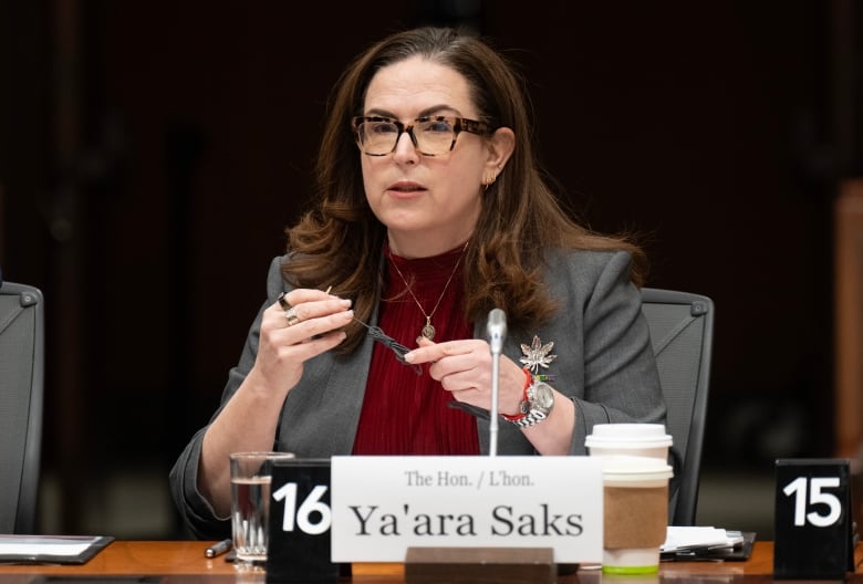 A middle-aged brunette woman wearing a red top, grey blazer and cheetah-print glasses at a podium holding a black tied-up wire. 