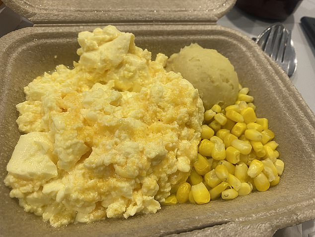 ‘Disgusting’ hospital food hinders patient recovery and makes the NHS beds crisis EVEN worse, dietician warns