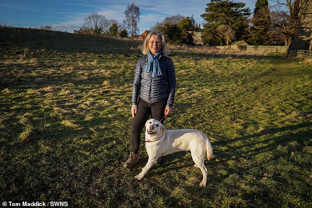 Farmer, 70, is fined after dog walker suffered broken ribs and needed to have part of her colon removed when she was trampled by cows