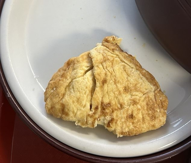 Guess the mystery hospital food! Shocking images show ‘unidentifiable’ dishes being served up to NHS patients (and the VERY different meals at private clinics)…so have YOU had worse?