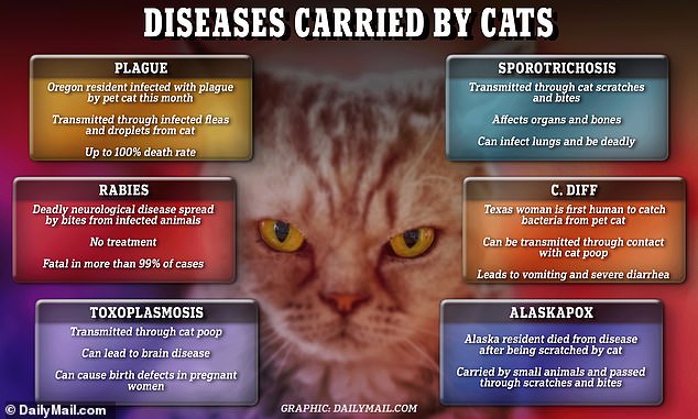 How your pet CAT is a major harborer of deadly diseases – after felines were blamed for first Alaskapox death and return of ancient plague