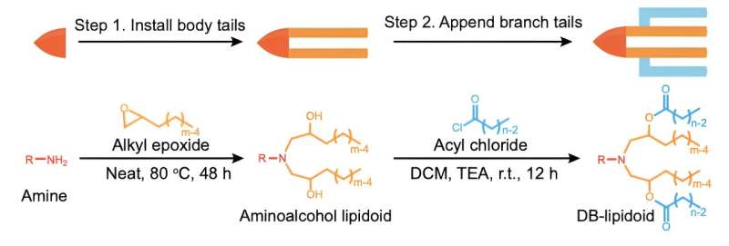 A moonshot for obesity: New molecules, inspired by space shuttles, advance lipid nanoparticle delivery for weight control