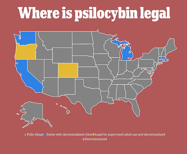 Poison center calls for ‘magic mushrooms’ spiked after decriminalization, study finds