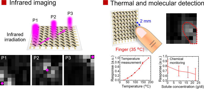 Detection and Imaging of Light, Heat, and Molecules Using Sheet Type Optical Sensors