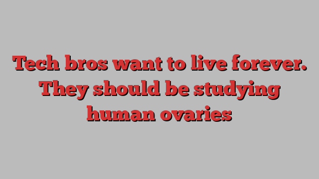 Tech bros want to live forever. They should be studying human ovaries