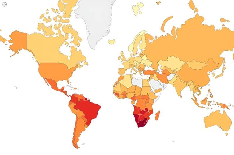 Beyond Economic Metrics: The Gini Index in the Big Data Age