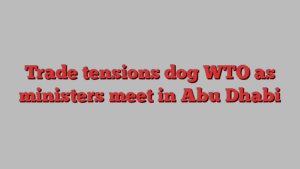 Trade tensions dog WTO as ministers meet in Abu Dhabi