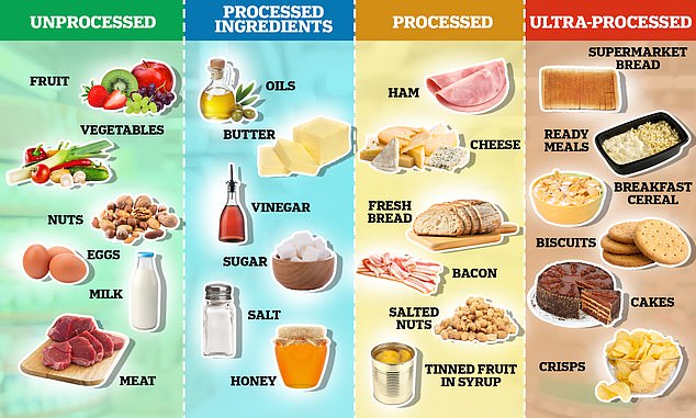 Ultraprocessed foods are ‘harmful to EVERY part of the body’: Biggest study yet links UPFs to 32 illnesses – including cancer and heart disease – as experts call for biscuits, cakes and sweets to be treated like cigarettes