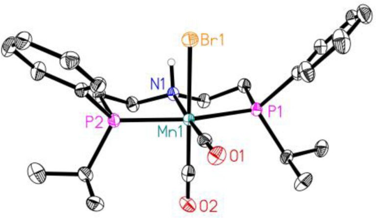 green-methanol-for-the.jpg