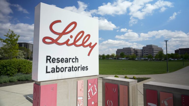 Eli Lilly Alzheimer’s drug FDA approval delayed