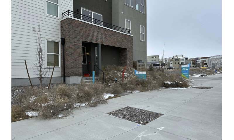 Iconic Old West tumbleweeds roll in and blanket parts of suburban Salt Lake City