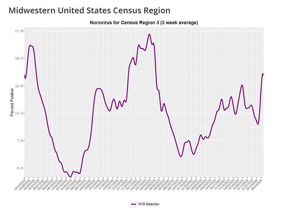 The midwestern region reported a 13.4 percent positivity rate as of March 2, up from 10 percent a month earlier. And in the west, 12.8 percent of tests came back positive for norovirus as of March 2, up from 11 percent in early February and five percent in November. Data from September to the start of February this year shows that Minnesota and Wisconsin have been hardest hit with norovirus ¿ with both reporting more than five outbreaks over this period. They are followed by California, Florida, Ohio and Virginia which have all reported four outbreaks so far.