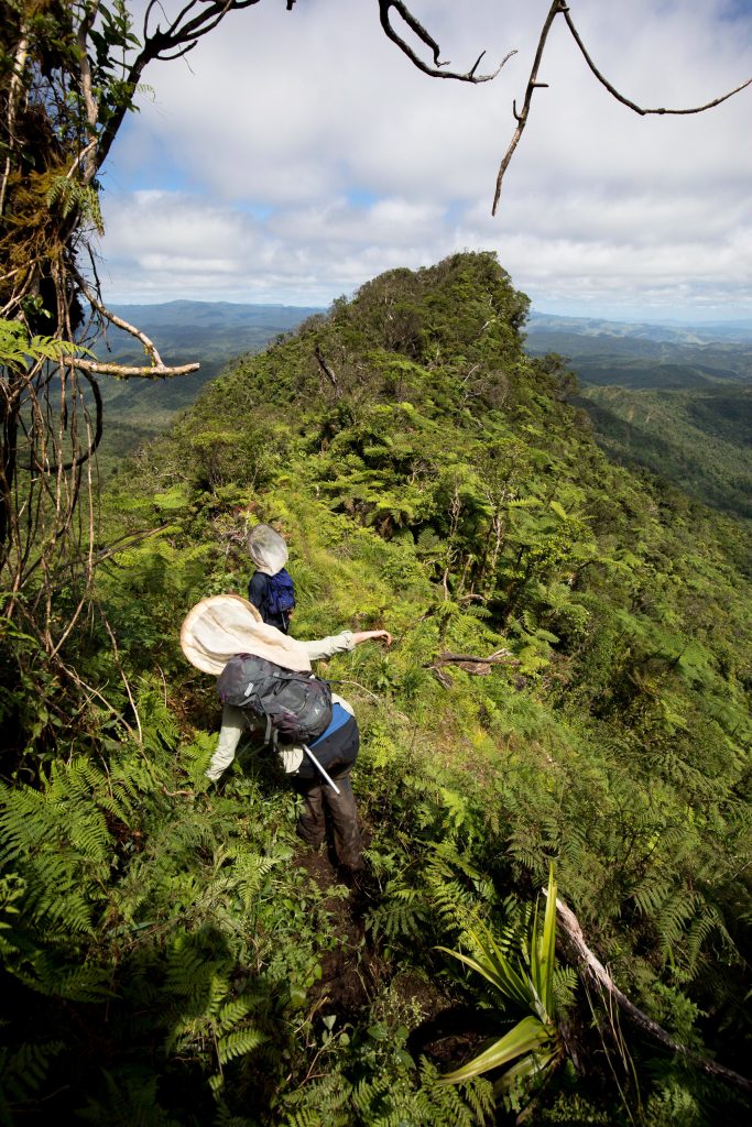 Mount Tomanivi