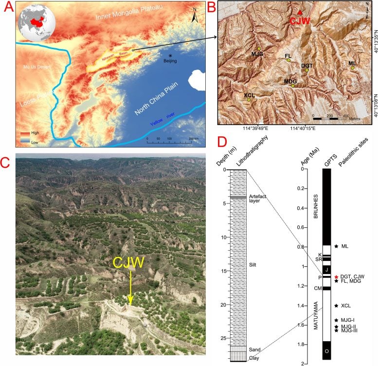 The CJW Site and Lithology of the CJW Profile and Corresponding Magnetic Polarity Time Scale