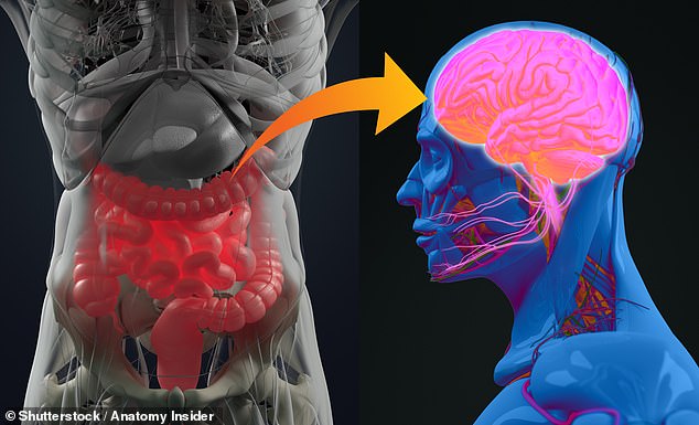 Studies have suggested that the quantity and quality of our microbiome can help determine our risk of a host of diseases - from depression to asthma