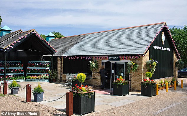 Kate, who is currently recovering from abdominal surgery, looking 'happy, healthy and relaxed' at The Windsor Farm Shop (pictured)