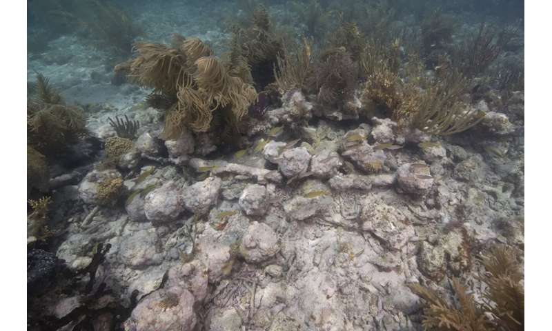 Vessel off Florida Keys identified as British warship that sank in the 18th century