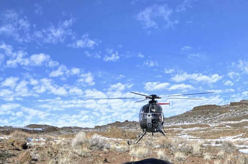 Nevada's first big-game moose hunt will be tiny as unusual southern expansion defies climate change