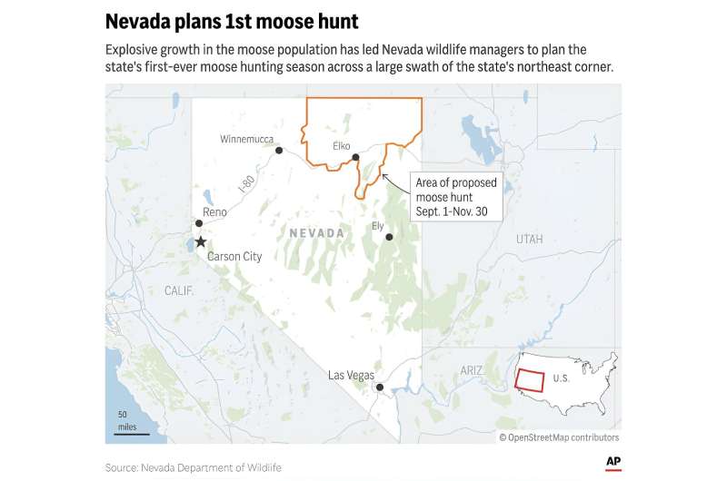 Nevada's first big-game moose hunt will be tiny as unusual southern expansion defies climate change