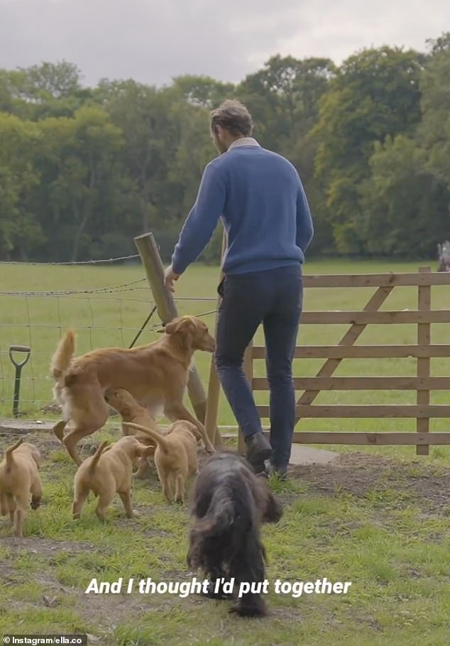 The father-of-one filmed himself alongside his dog Isla and a slew of cute labrador puppies as he ran through his expansive family garden, which he shares with his wife, Alizeé and baby son Inigo