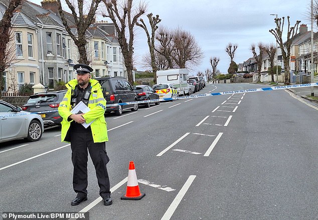 Woman and five-year-old girl both die in hospital after being hit by a car in Plymouth with police confirming the 74-year-old female driver has been arrested on suspicion of ‘driving while unfit through drink or drugs’