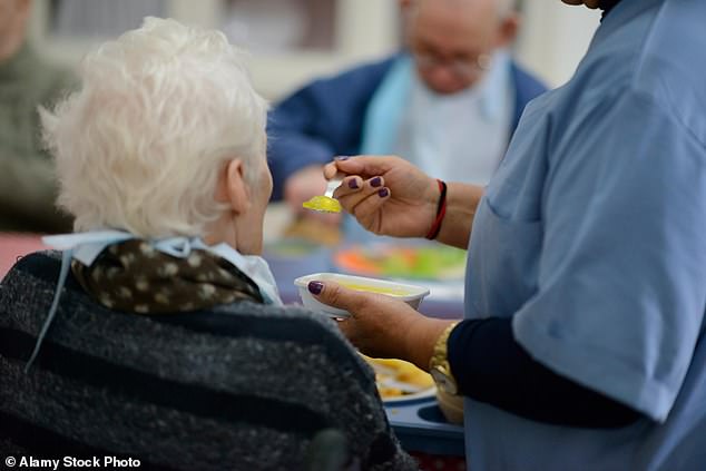 Care for the elderly is ‘on its knees’ and overdue reforms may not bring the changes needed, MPs warn