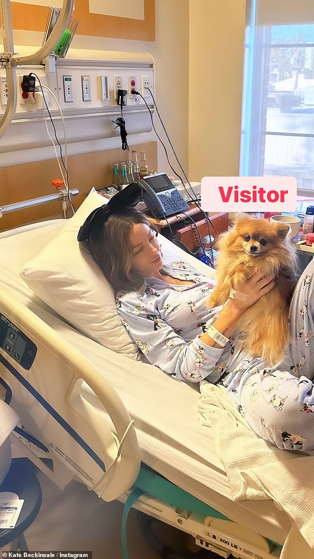 Kate Beckinsale, 50, is comforted in her hospital bed by beloved dog Myf following visit from cat… as fans fear for her health amid ongoing struggle