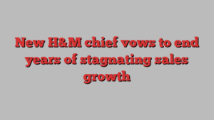 New H&M chief vows to end years of stagnating sales growth