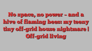 No space, no power – and a hive of flaming bees: my teeny tiny off-grid house nightmare | Off-grid living