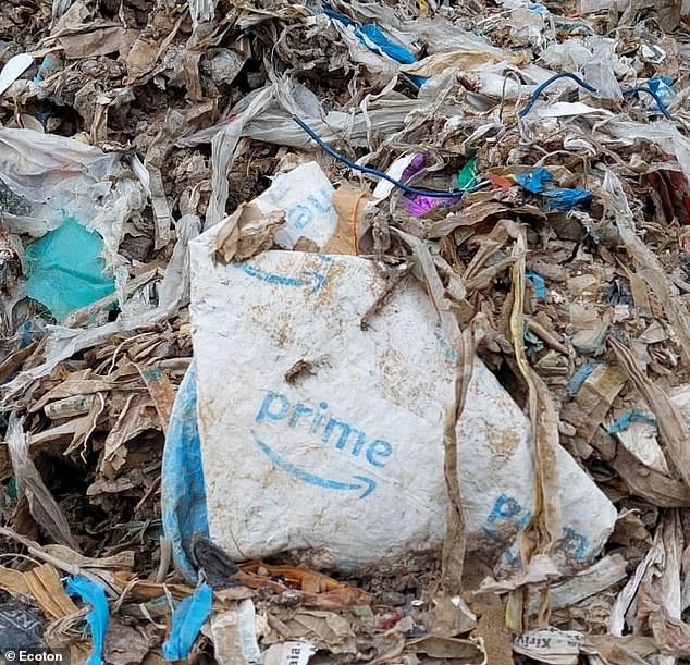 Over 700million pounds of Amazon’s ‘recyclable’ plastic packaging is dumped into environment each year – where chemicals infest livestock, human organs and even clouds