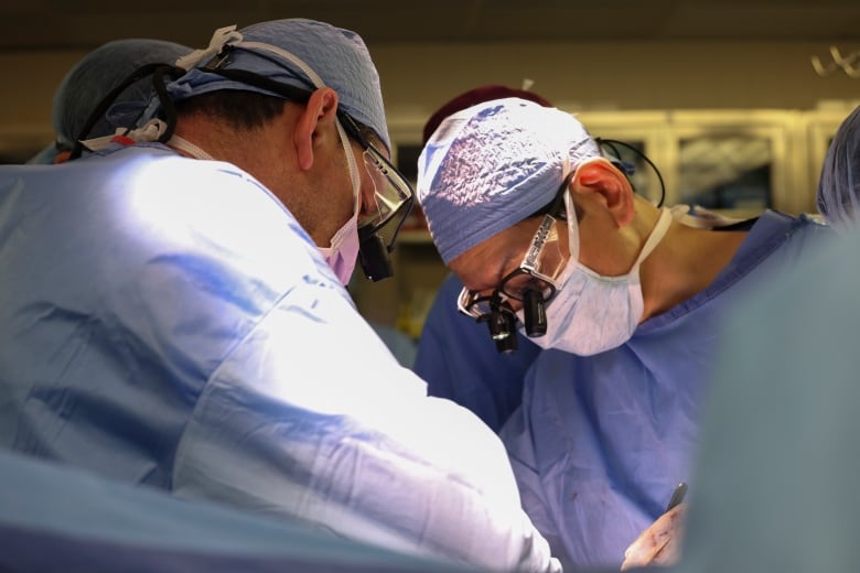 Massachusetts General Hospital transplant surgeons Dr. Nahel Elias, left, and Dr. Tatsuo Kawai perform the surgery of a transplanted genetically modified pig kidney into a living human, Saturday, March 16, 2024, in Boston, Mass.