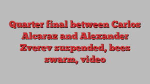 Quarter final between Carlos Alcaraz and Alexander Zverev suspended, bees swarm, video