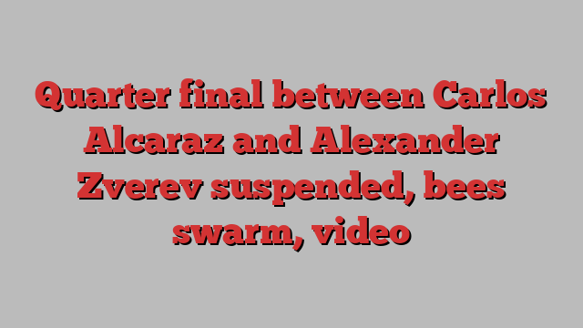 Quarter final between Carlos Alcaraz and Alexander Zverev suspended, bees swarm, video