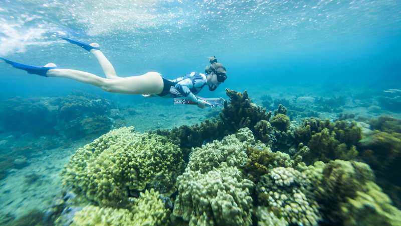 Researchers say Olympic tower construction could damage Tahiti reef ecosystem