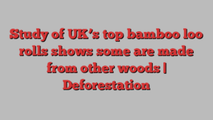 Study of UK’s top bamboo loo rolls shows some are made from other woods | Deforestation