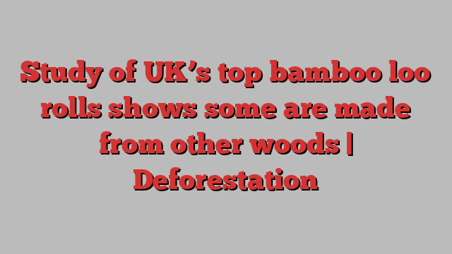 Study of UK’s top bamboo loo rolls shows some are made from other woods | Deforestation