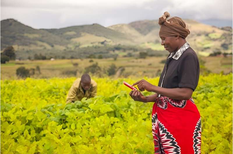 CABI-led study shows benefits of chatgroups to human health can be replicated in plant health