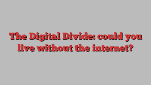 The Digital Divide: could you live without the internet?