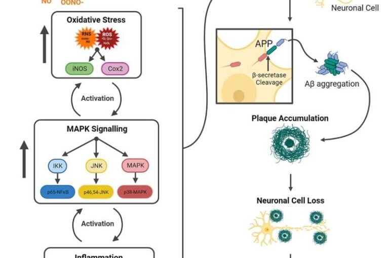 Tiny magnetic particles in air pollution linked to development of Alzheimer’s