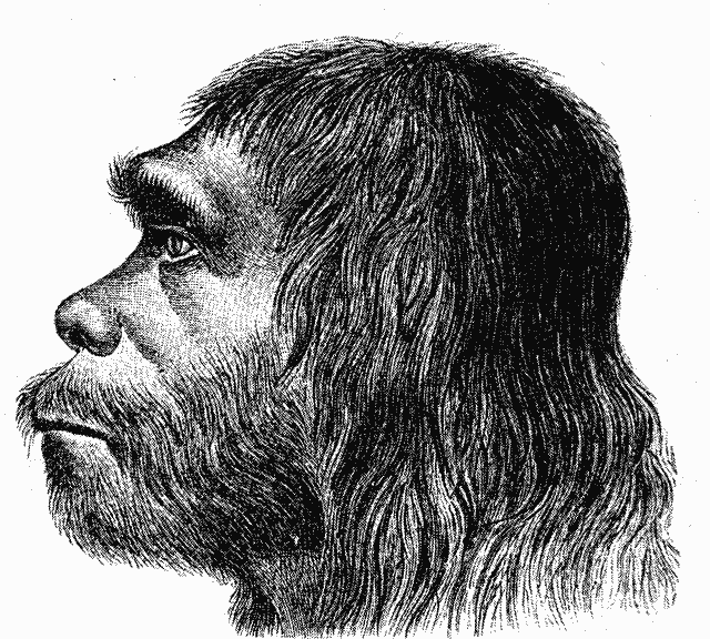 Neanderthal